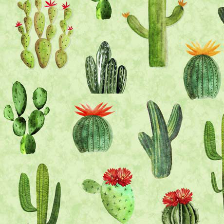 MINKY PRINTS             